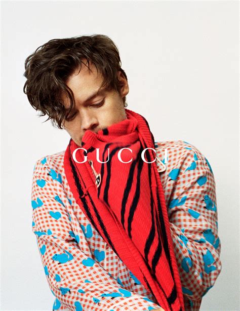 harry styles for gucci